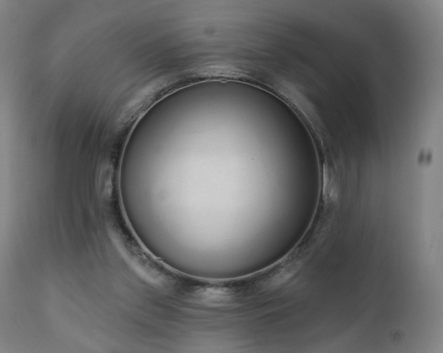 X0000110980157200906191412