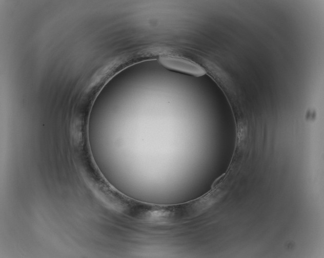 X0000110980158200906191412