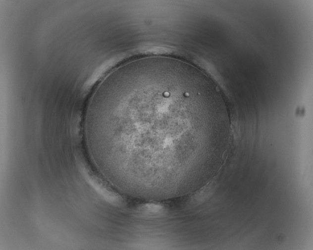 X0000110980159200906191412