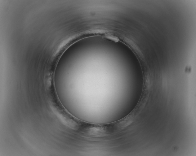 X0000110980160200906191412