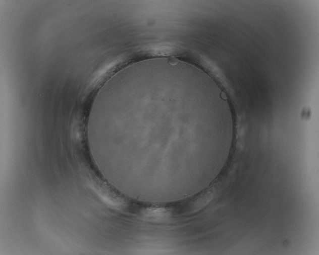 X0000110980161200906191412