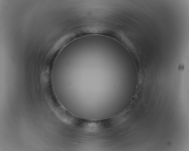 X0000110980163200906191412