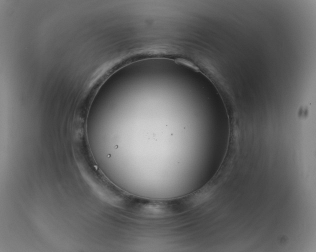 X0000110980164200906191412