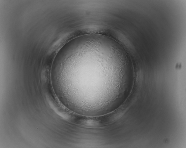 X0000110980165200906191412