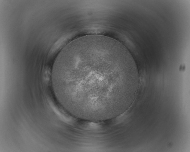 X0000110980166200906191412