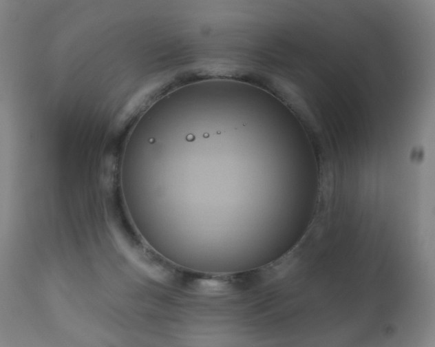 X0000110980167200906191412