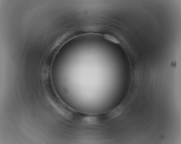 X0000110980168200906191412