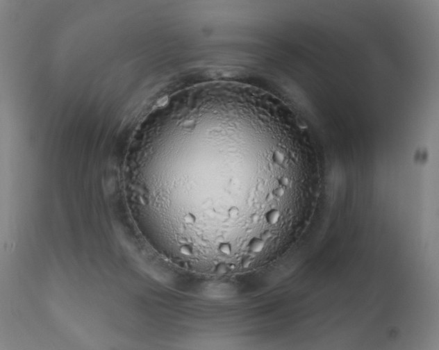 X0000110980169200906191412