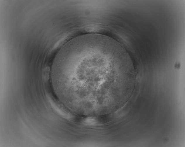 X0000110980171200906191412