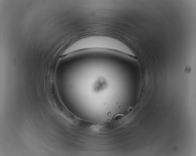 X0000110980172200906191412