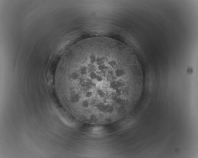 X0000110980173200906191412