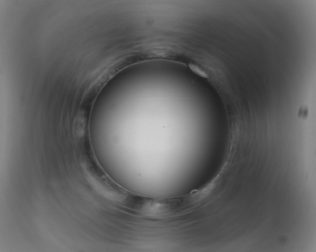 X0000110980174200906191412