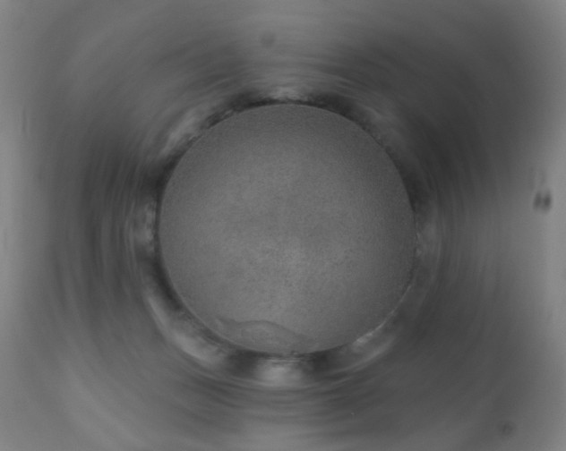 X0000110980175200906191412