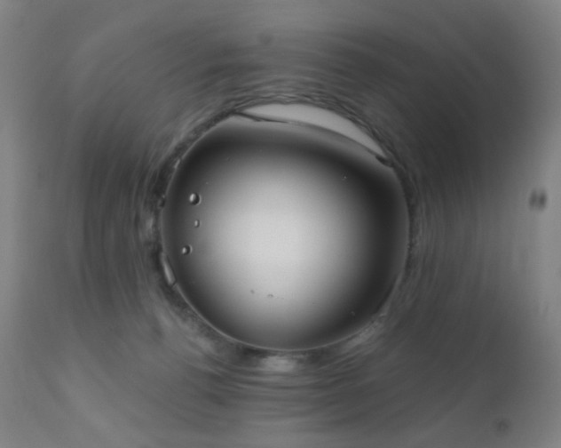 X0000110980176200906191412