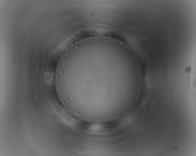 X0000110980177200906191412