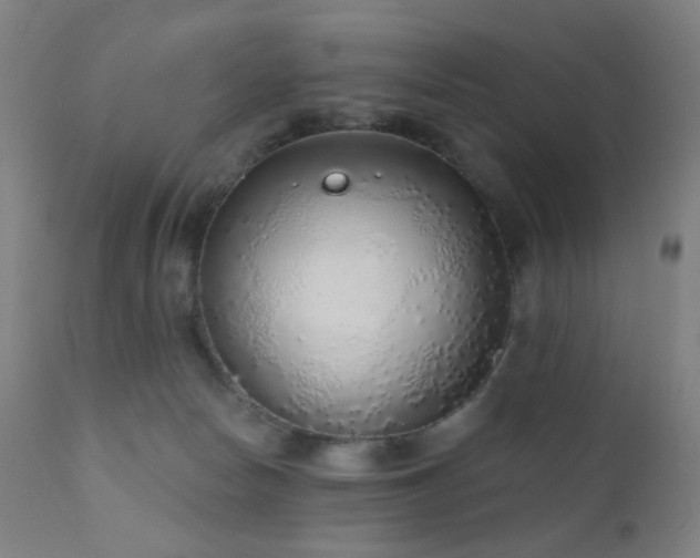 X0000110980178200906191412