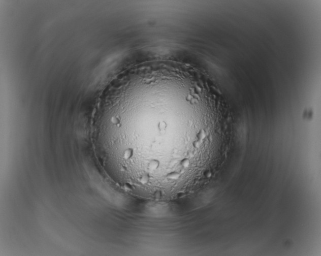 X0000110980181200906191412