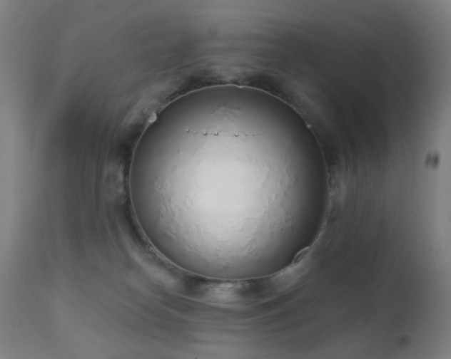 X0000110980182200906191412