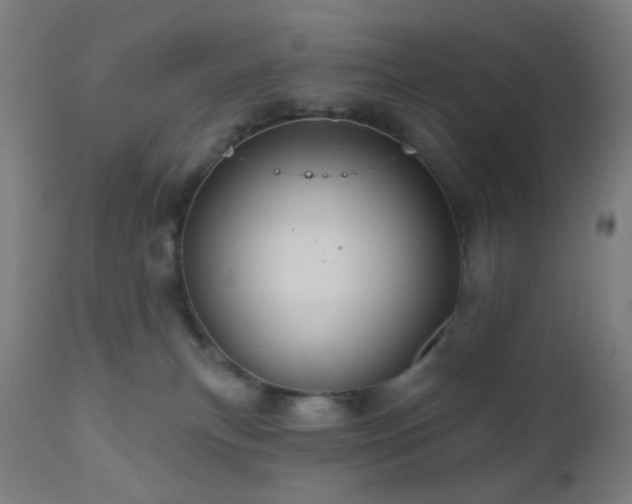 X0000110980183200906191412