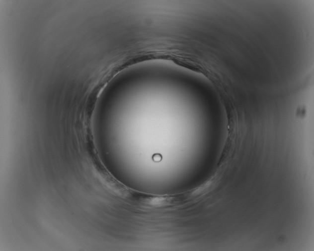 X0000110980184200906191412