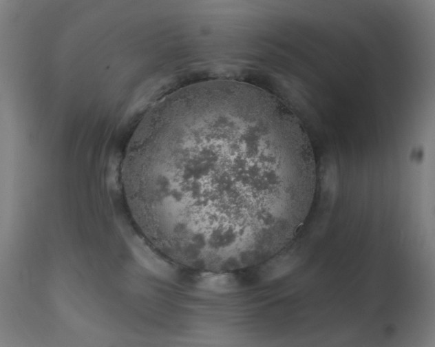 X0000110980185200906191412