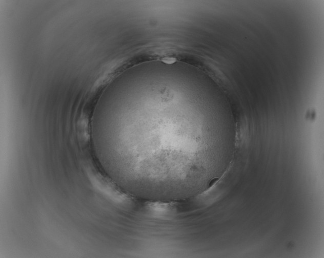 X0000110980187200906191412