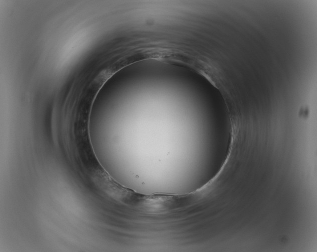 X0000110980190200906191413