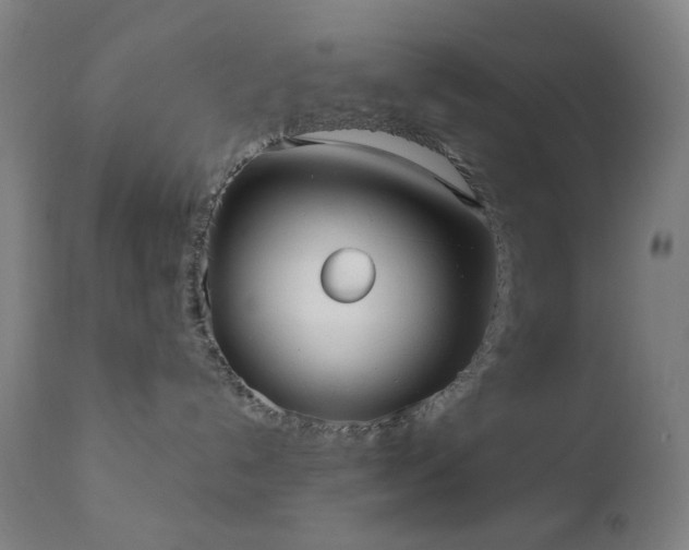 X0000110980192200906191413