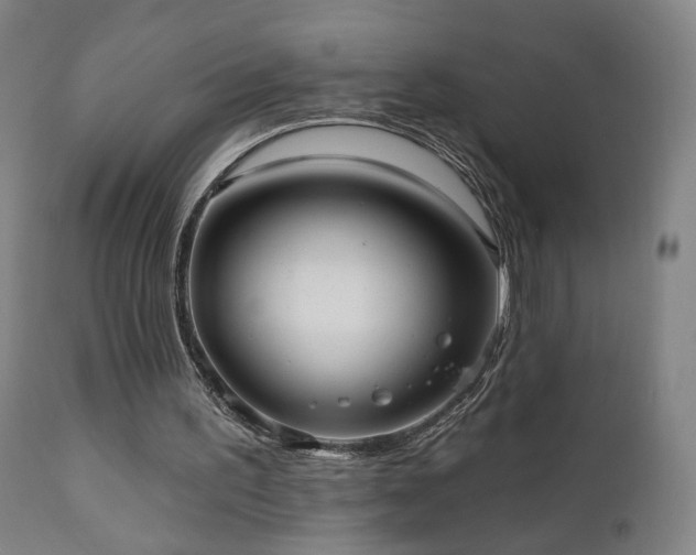 X0000110980195200906191412