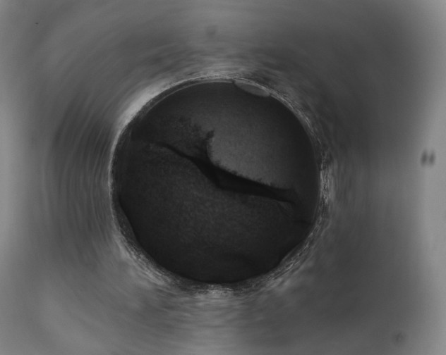 X0000110980196200906191412