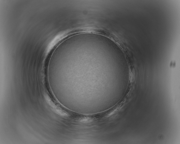 X0000110980198200906191412