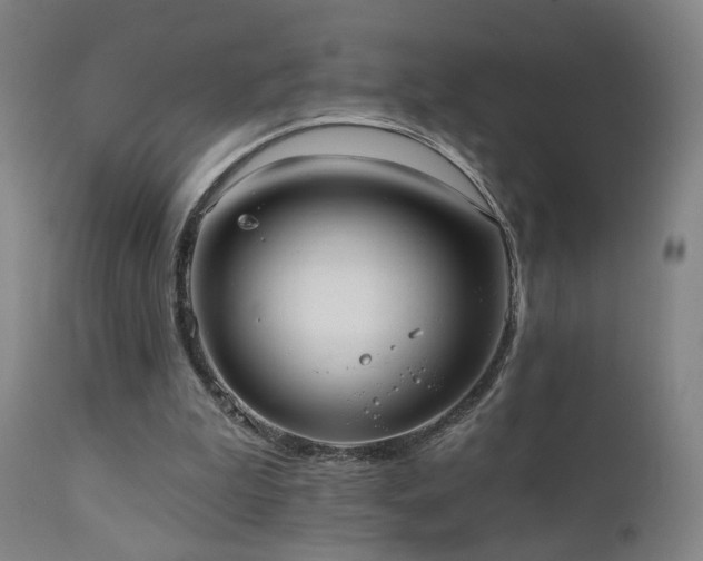 X0000110980199200906191412