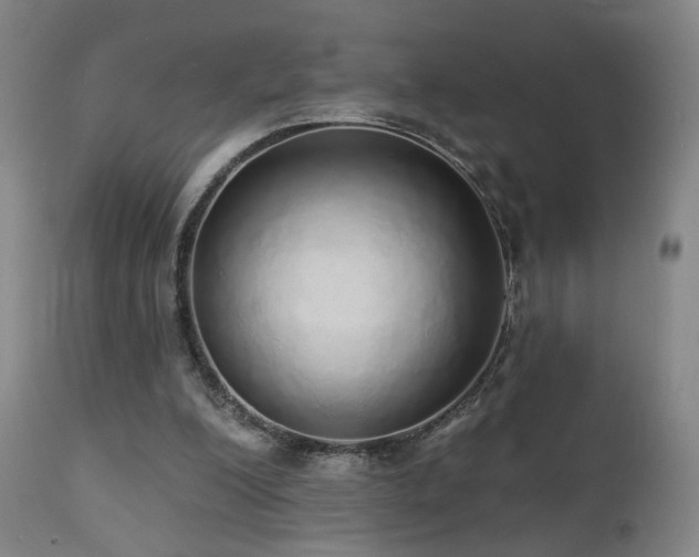 X0000110980200200906191412