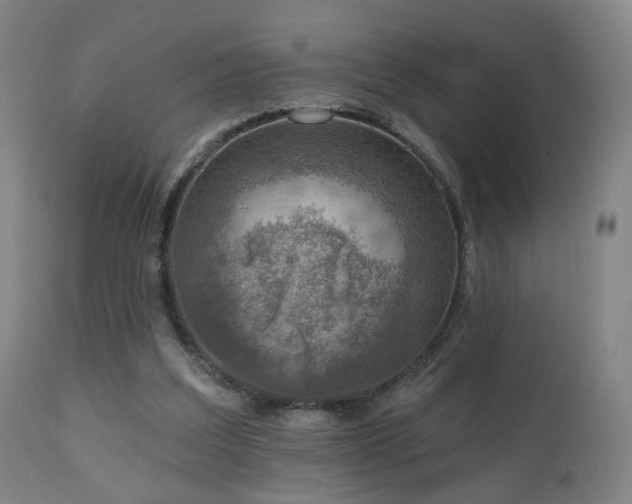 X0000110980203200906191412