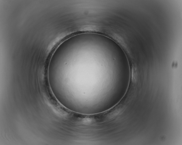 X0000110980204200906191412