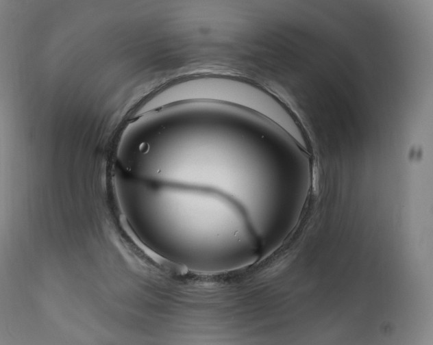 X0000110980205200906191412