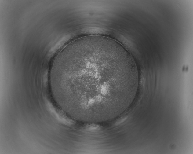 X0000110980206200906191412