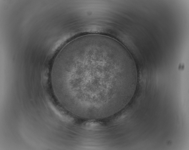 X0000110980208200906191412