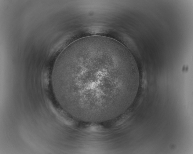 X0000110980210200906191411