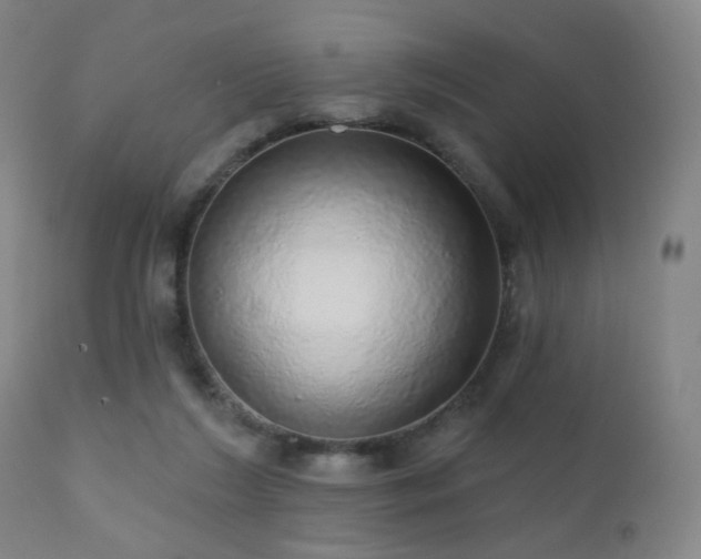 X0000110980212200906191411