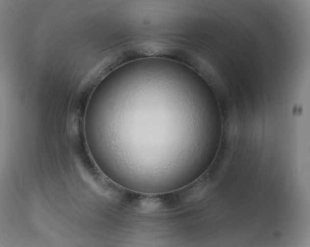 X0000110980214200906191411