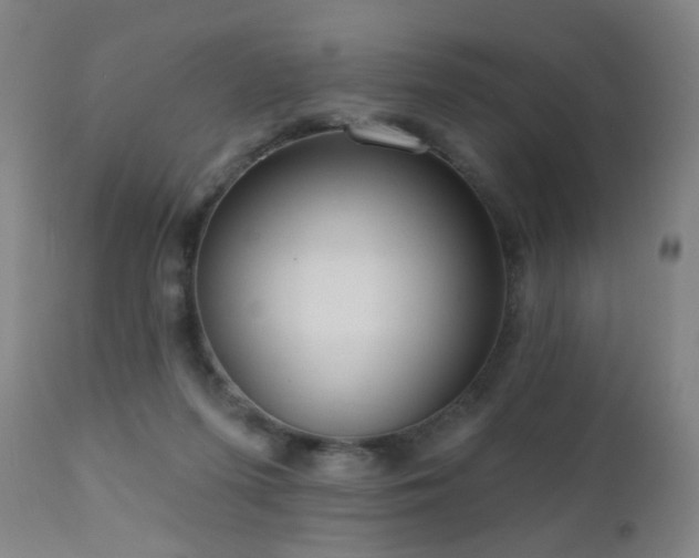 X0000110980215200906191411