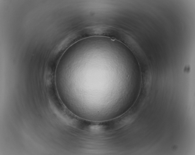 X0000110980216200906191411