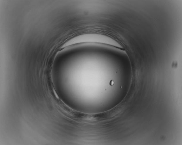 X0000110980217200906191411