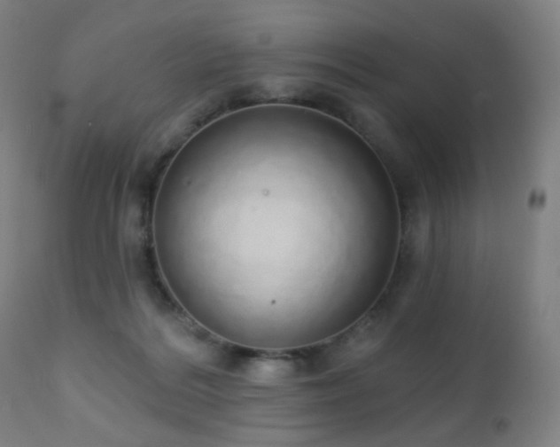 X0000110980220200906191411