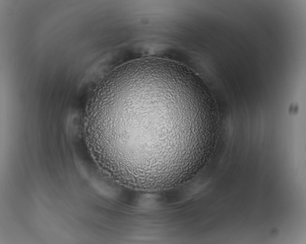 X0000110980222200906191411