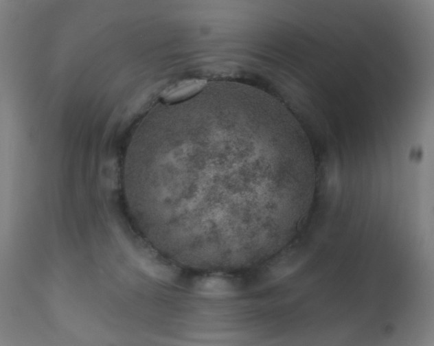 X0000110980224200906191411