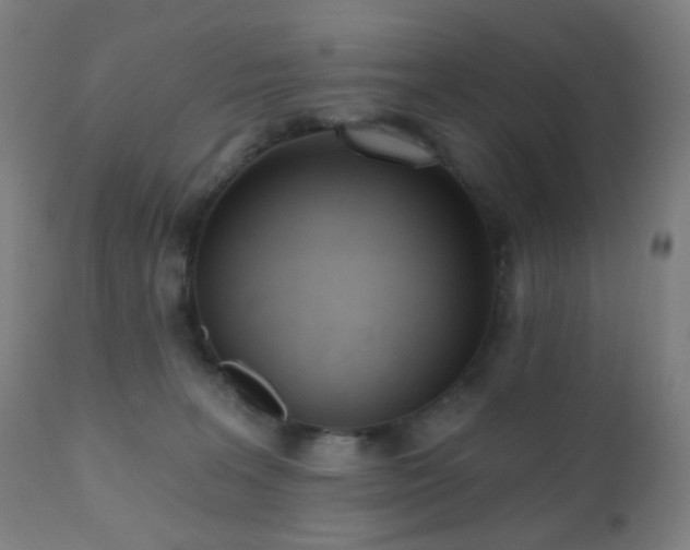 X0000110980227200906191411