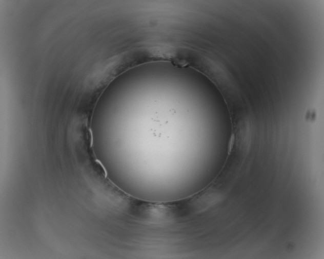 X0000110980229200906191411