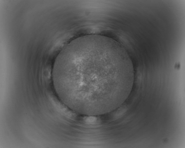 X0000110980230200906191411